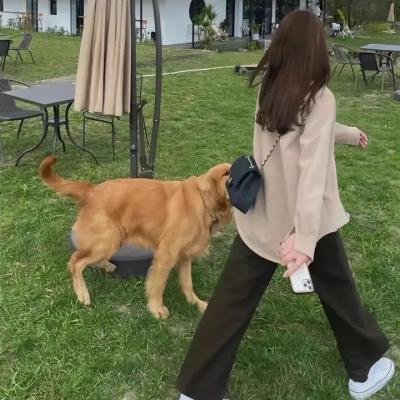 六个说谎的大学生